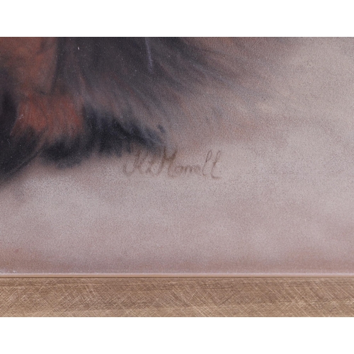 918 - K. L. Manell, study of a tortoiseshell Persian cat, signed lower right corner, pastel , framed and g... 