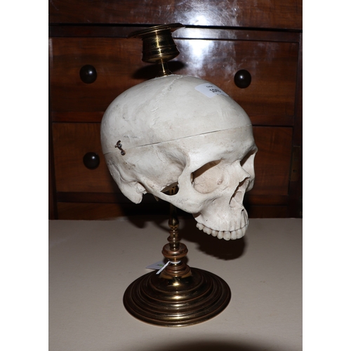 1043 - A Momento Mori skull from brass candle stick, 32cm high