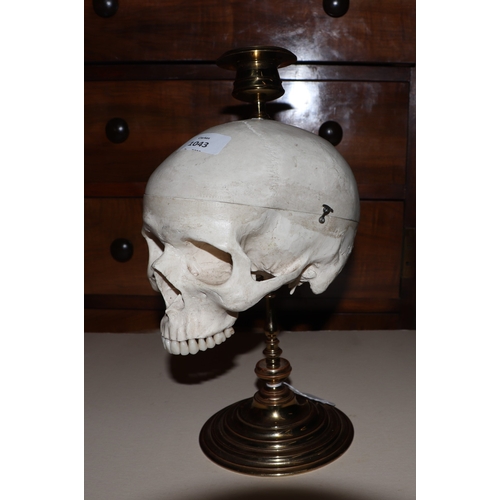 1043 - A Momento Mori skull from brass candle stick, 32cm high