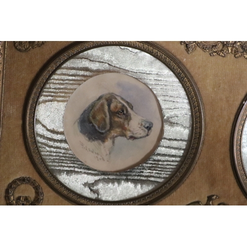 1527 - F Lewis (early 20th century British) a pair of portrait miniature studies of dogs, signed and dated ... 