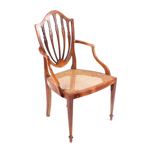 1011 - A 19th century Hepplewhite style elbow chair with caned seat, on square tapering front supports term... 