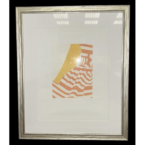 316 - A pair of abstract limited edition coloured prints indistinctly signed to the margin, framed & glaze... 