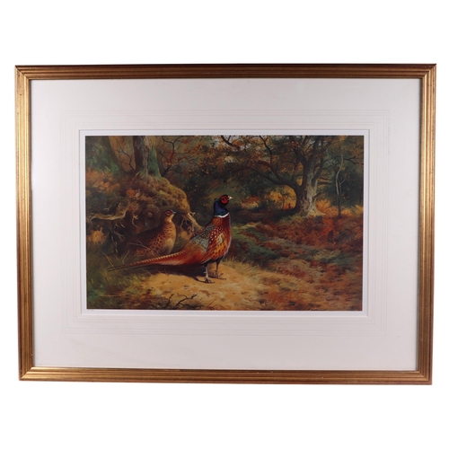 338 - Archibald Thorburn (1860-1935) - A pair of limited edition coloured prints depicting pheasants, both... 