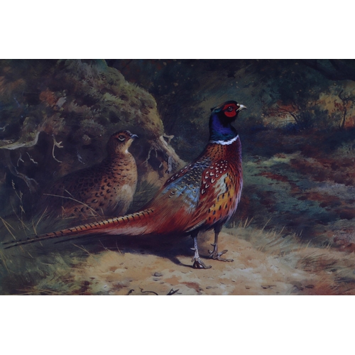 338 - Archibald Thorburn (1860-1935) - A pair of limited edition coloured prints depicting pheasants, both... 