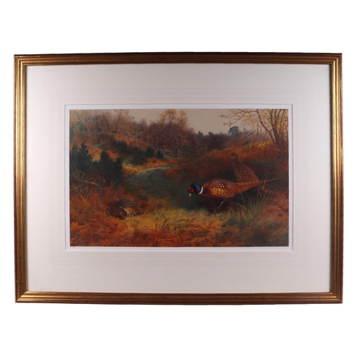 338 - Archibald Thorburn (1860-1935) - A pair of limited edition coloured prints depicting pheasants, both... 