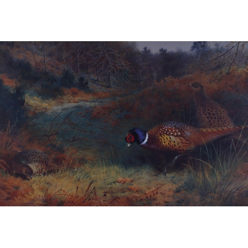 338 - Archibald Thorburn (1860-1935) - A pair of limited edition coloured prints depicting pheasants, both... 