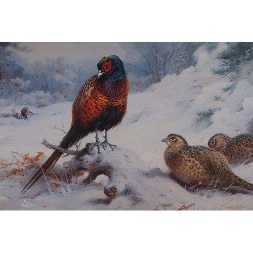 340 - Archibald Thorburn (1860-1935) - Two limited edition coloured prints, one depicting grouse, 49 by 36... 