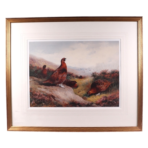 340 - Archibald Thorburn (1860-1935) - Two limited edition coloured prints, one depicting grouse, 49 by 36... 