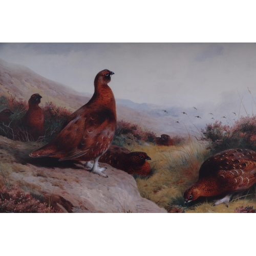 340 - Archibald Thorburn (1860-1935) - Two limited edition coloured prints, one depicting grouse, 49 by 36... 