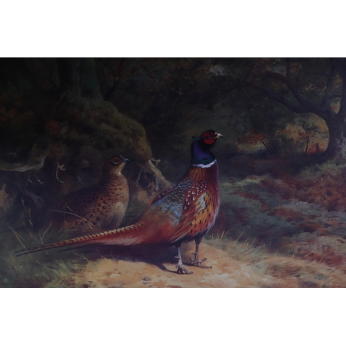 341 - Archibald Thorburn (1860-1935) - A pair of limited edition coloured prints depicting pheasants, both... 