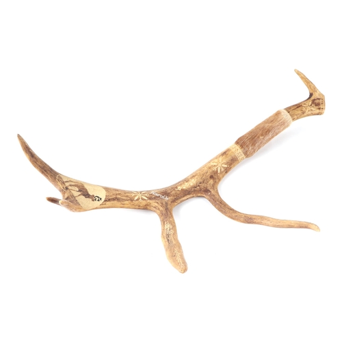 466 - A reindeer antler with folk art decoration inset with a short dagger, 50cms long.