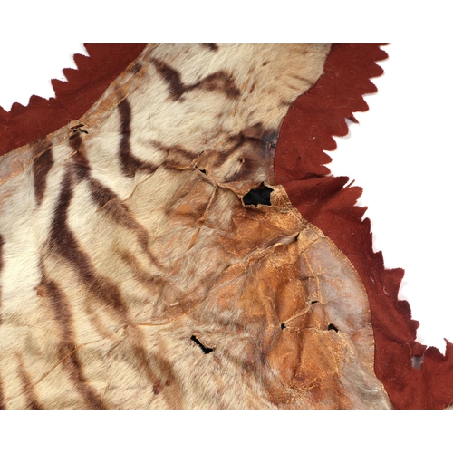 469 - An early 20th century full tiger skin rug with head and claws, felt backed, approx 9ft 5