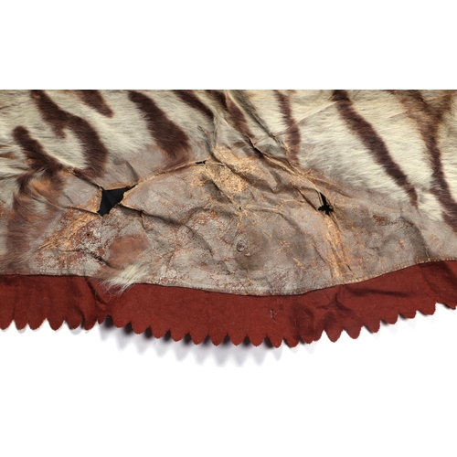 469 - An early 20th century full tiger skin rug with head and claws, felt backed, approx 9ft 5