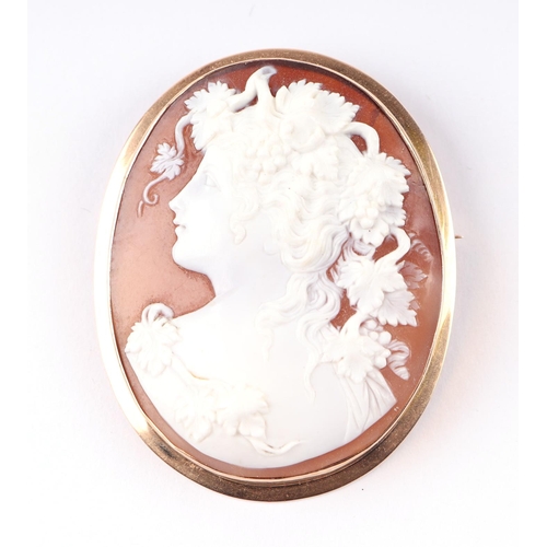 802 - A late Victorian / Edwardian carved shell cameo brooch decorated with a neo-classical figure, in a y... 