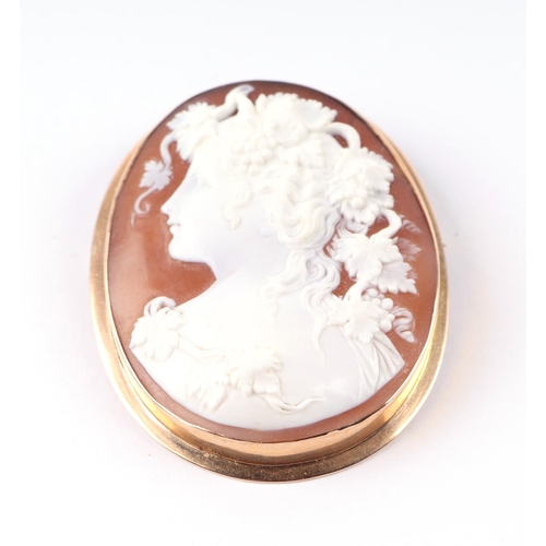 802 - A late Victorian / Edwardian carved shell cameo brooch decorated with a neo-classical figure, in a y... 