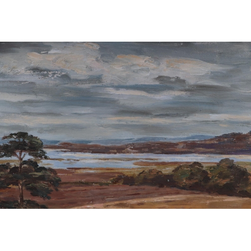 144 - Modern British - A Coastal Estuary Scene - oil on paper laid down, 38 by 30cms, framed & glazed.