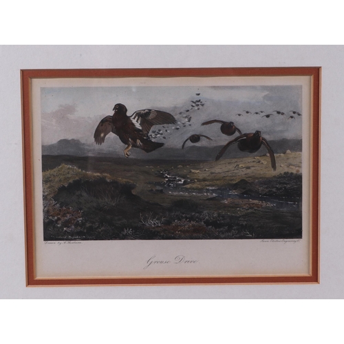 196 - After Archibald Thorburn.  Three coloured prints - Black Game, Shooting Under A Kite and Grouse Driv... 