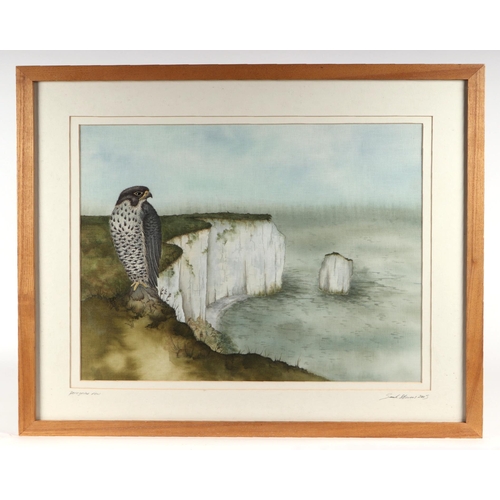 206 - Sarah Stevens (modern British) - Peregrine View - silk embroidered panel, titled, signed & dated in ... 