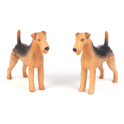 301 - Two Beswick models of Airedale terriers, 14cms high; together with an Anne Godfrey limited edition 1... 