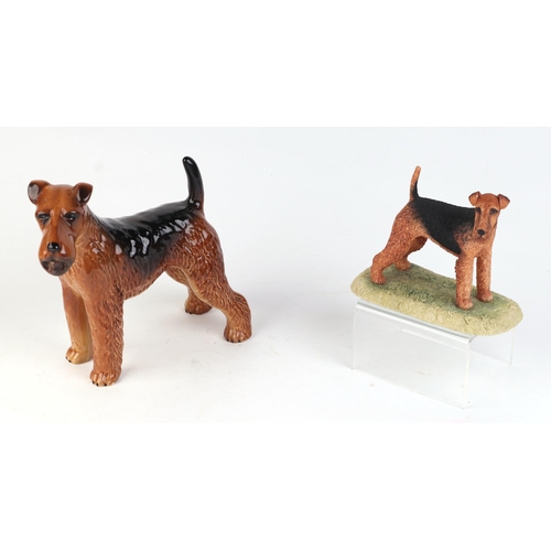 301 - Two Beswick models of Airedale terriers, 14cms high; together with an Anne Godfrey limited edition 1... 