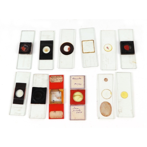 440 - A leather cased set of Victorian prepared microscope slides,