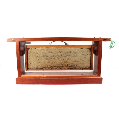 449 - Two mahogany cased bee honeycomb displays, each 61cms wide; together with some honey making equipmen... 