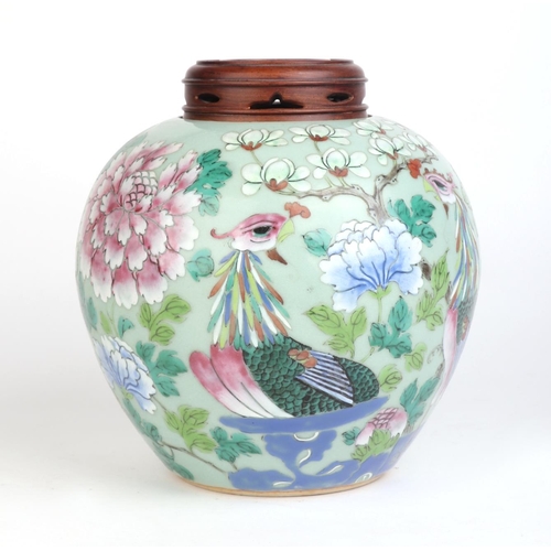 672 - A Chinese famille rose ginger jar decorated with peacocks and flowers, on a celadon ground with asso... 