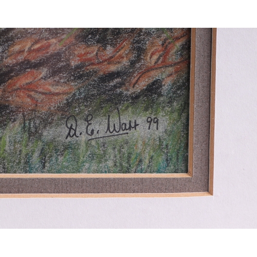 156 - D E Watt (modern British) - Study of a Woodcock - signed & dated '99 lower right, crayon, framed & g... 