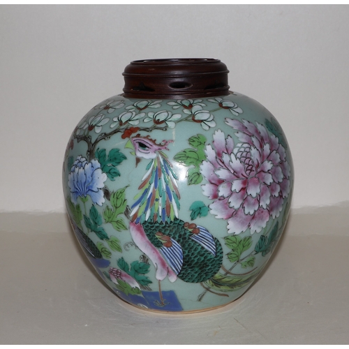 672 - A Chinese famille rose ginger jar decorated with peacocks and flowers, on a celadon ground with asso... 