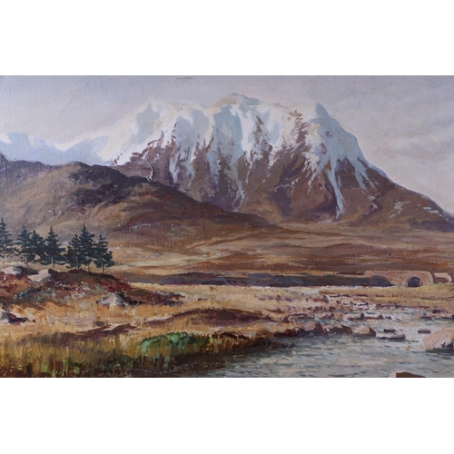 195 - Donald Shearer (Scottish 1925-2017), Highland landscape scene- signed lower right corner, oil on can... 