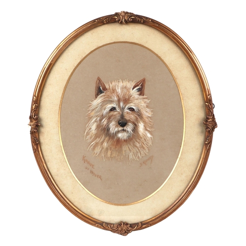 264 - S Ripley  - Knave of Hyver - an oval portrait of a Terrier, pastel, signed, 29 by 22cm, framed and g... 