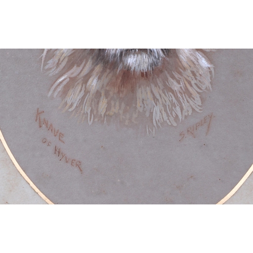 264 - S Ripley  - Knave of Hyver - an oval portrait of a Terrier, pastel, signed, 29 by 22cm, framed and g... 