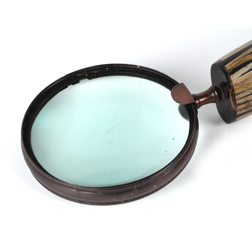 411 - A large horned handle hand magnifier, 73cm long.