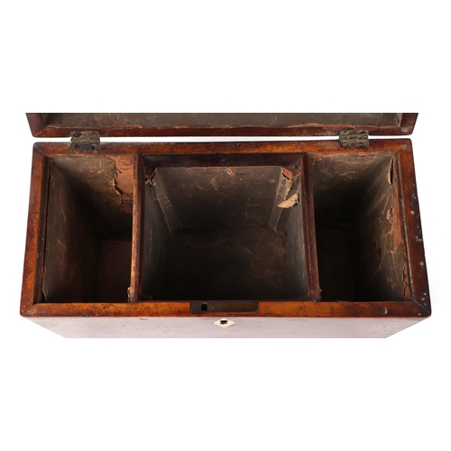 415 - A Regency mahogany sarcophagus shaped tea caddy, on bun feet, 28cm wide.