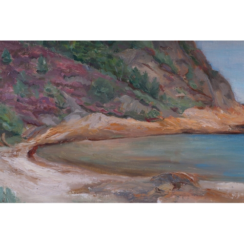 164 - 20th century school, coastal scene, with trees on a hillside, oil on board, framed, 39 by 29cm.