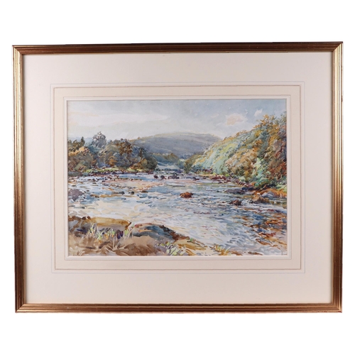 Lot 206       