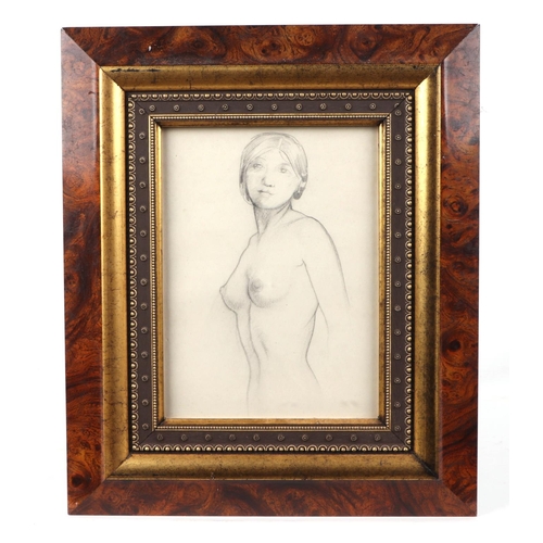 Lot 213       