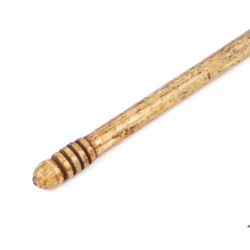 404 - A 19th century turned bone conductors baton, 46cm long.