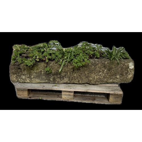7 - A very large and heavy stone trough planter, 159 by 47 by 30cm high.