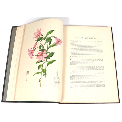 51 - Grove (A),  A Supplement to Elwes' monograph of the Genus Lilium, illustrated by Lillian Snelling, p... 