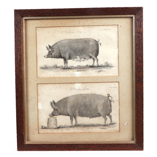 Lot 212       