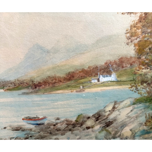 Lot 196       