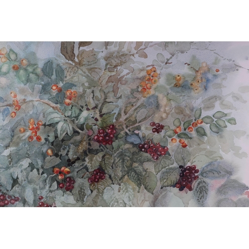 113 - Shirley Hawell (modern British) - Mixed Berries - signed lower left, watercolour, framed & glazed, 4... 