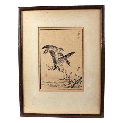 499 - A set of three Japanese woodblock prints depicting birds and flowers, each 13 by 35cm, framed as one... 