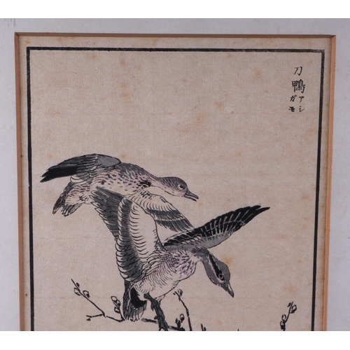 499 - A set of three Japanese woodblock prints depicting birds and flowers, each 13 by 35cm, framed as one... 