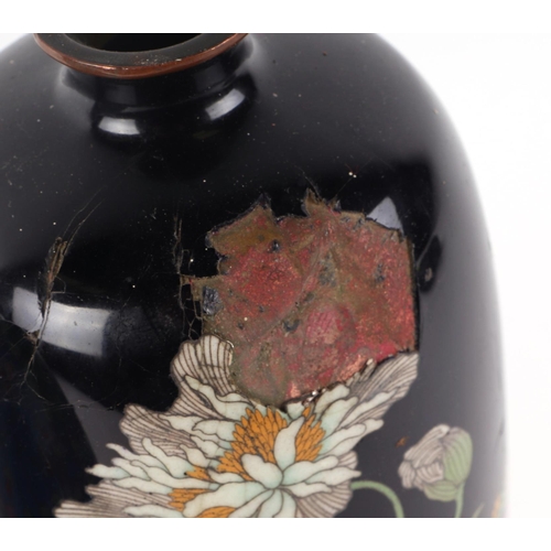 516 - A pair of Japanese cloisonné vases decorated with chrysanthemum flowers on a black ground, 25cms hig... 