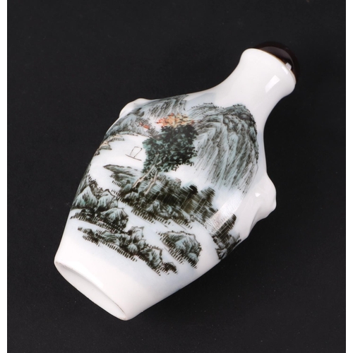 558 - A group of Chinese porcelain and reverse painted glass snuff bottles, the largest 8cms high (6).