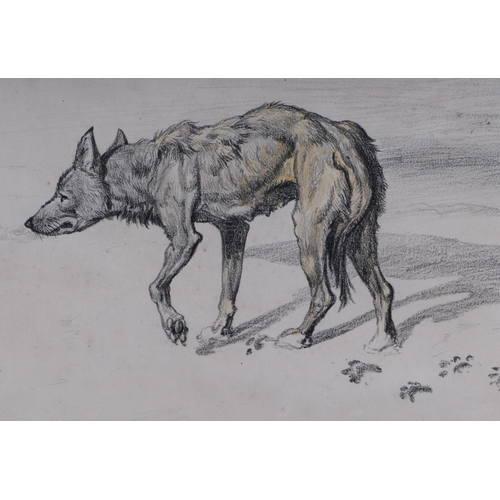 126 - Ernest Griset (French 1844-1907) - A Lone Wolf - drypoint etching, signed lower left, 47 by 32cms, f... 