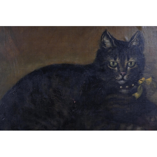 132 - Early 20th century British - A Recumbent Tabby Cat Sat on a Cushion - oil on board, indistinctly tit... 