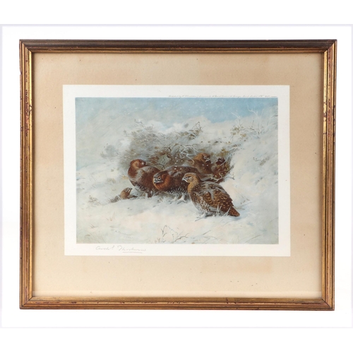 135 - After Archibald Thorburn (1860-1935) - Cock & Hen Pheasant in Flight Within a Winter Landscape - col... 